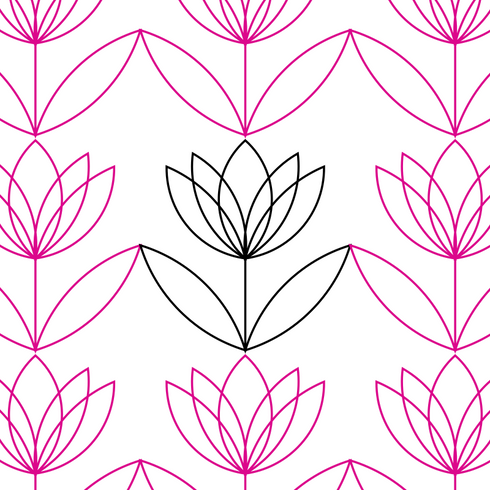 Blooming Tulips