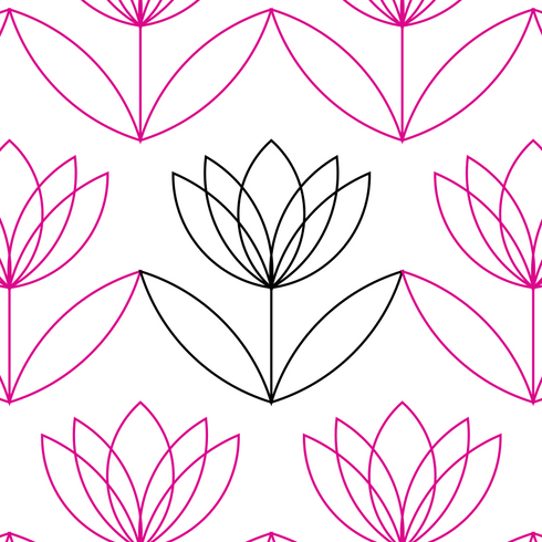Blooming Tulips