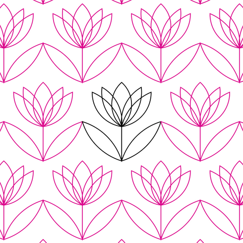 Blooming Tulips