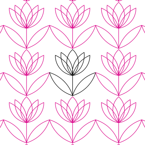 Blooming Tulips