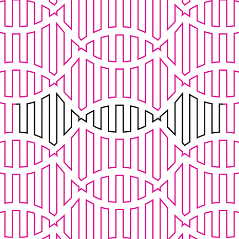 Double Dutch Negative