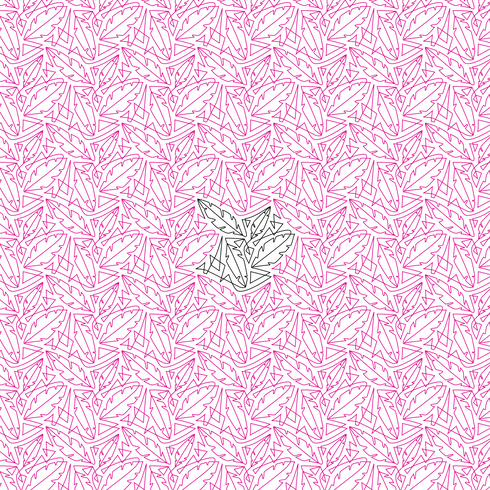 Feathers and Triangles