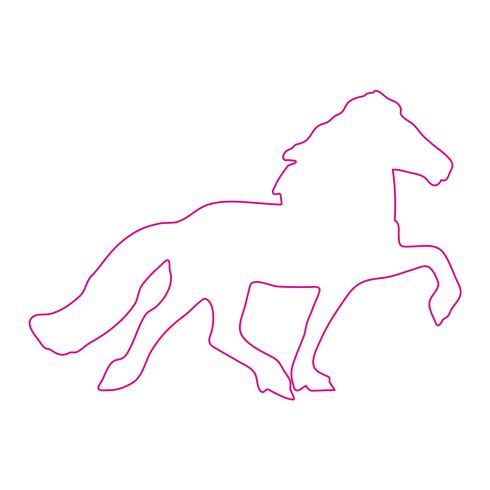 Icelandic Horse Block