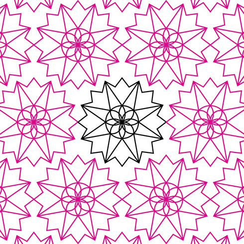 Josephine Star Flower