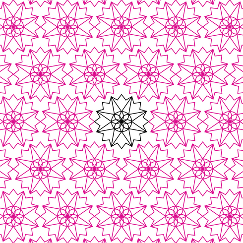 Josephine Star Flower