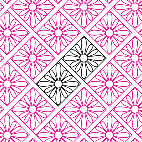 Lattice Daisy