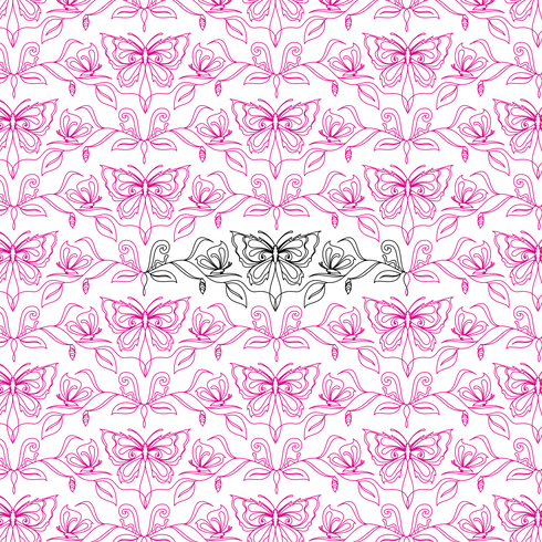 Metamorphosis Butterfly