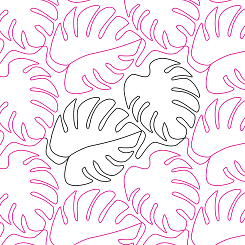 Monstera 9 Inch