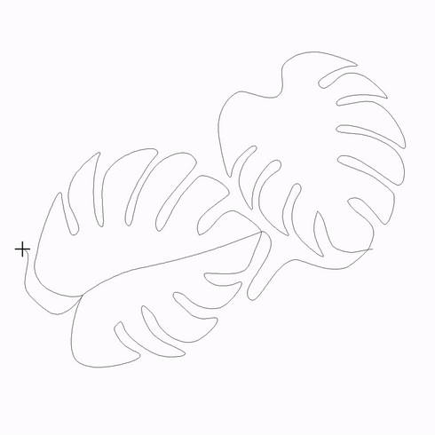 Monstera 9 Inch