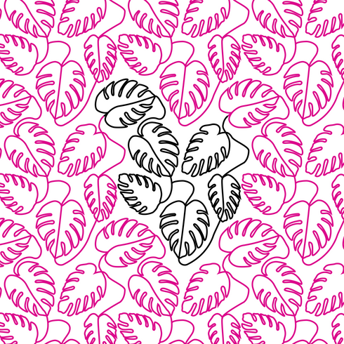Monstera