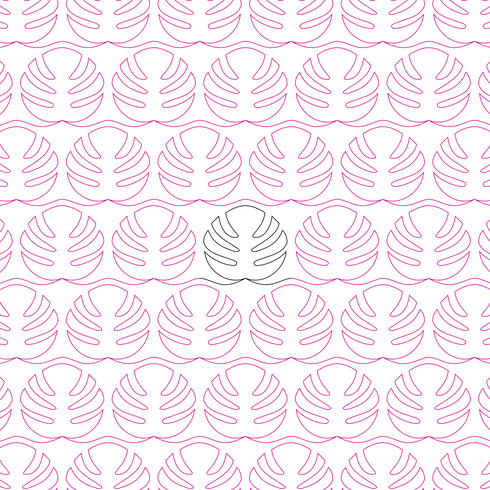 Jess's Monstera