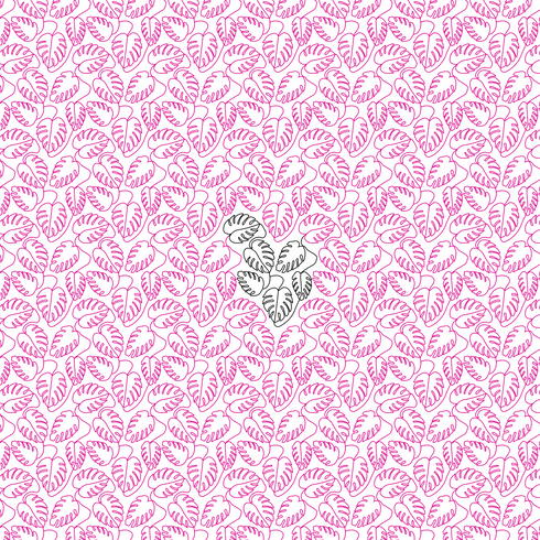 Monstera