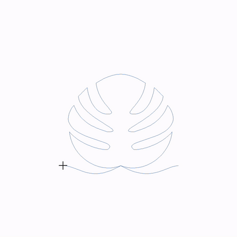 Jess's Monstera