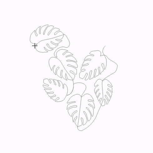 Monstera
