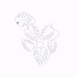 Monstera
