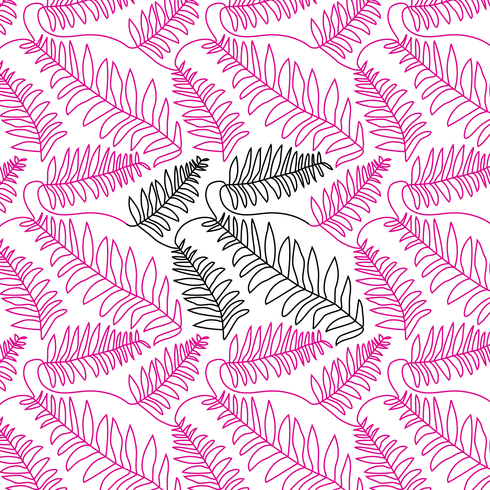 Scattered Ferns