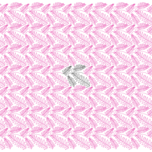 Scattered Ferns