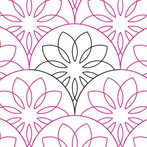 Sunflower Field Clam