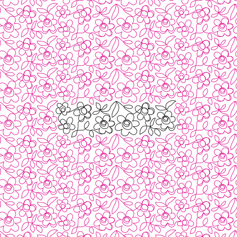Tia's Daisies