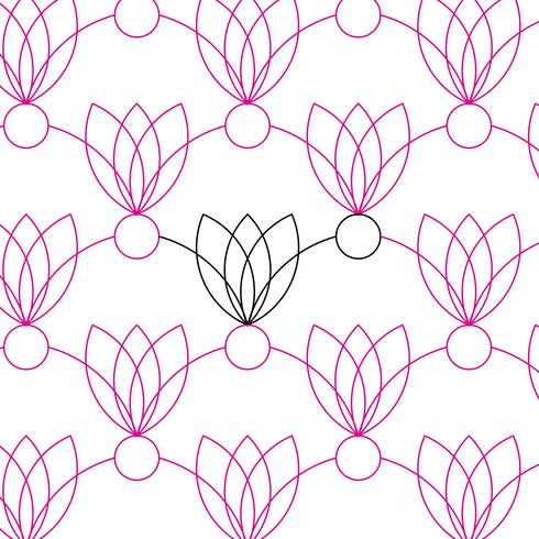 Tulip Clam