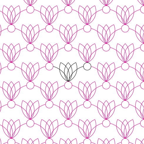 Tulip Clam