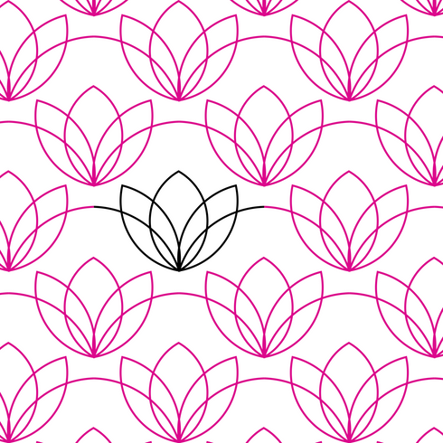 Water Lilies